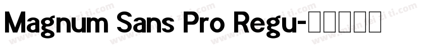 Magnum Sans Pro Regu字体转换